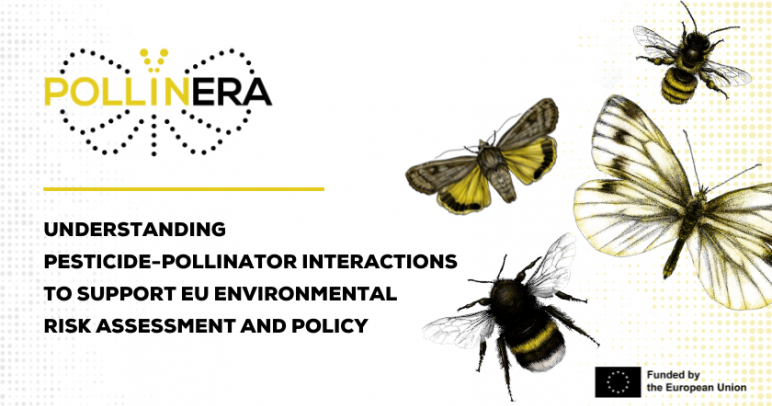 Understanding pesticide-pollinator interactions to support EU Environmental Risk Assessment and policy: The PollinERA project