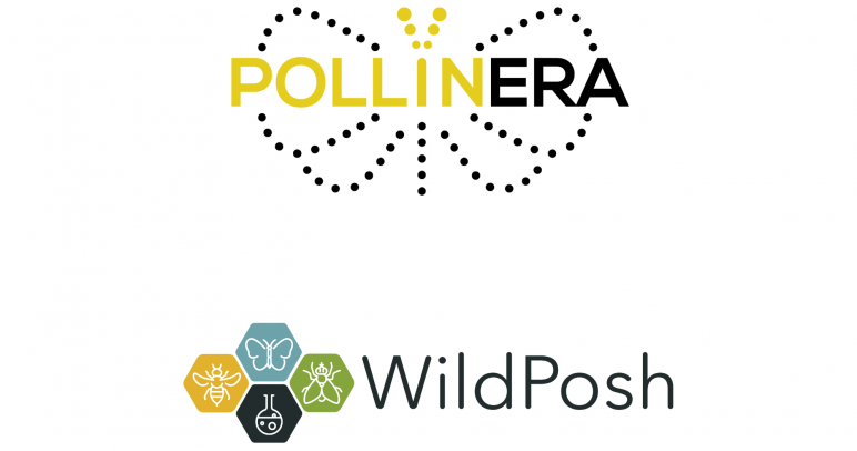 Towards a better understanding of exposure routes and toxicological and ecological impacts of chemical pollution on terrestrial biodiversity
