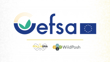 The new pollinator project duo, PollinERA and WildPosh, presented at EFSA KIC meeting