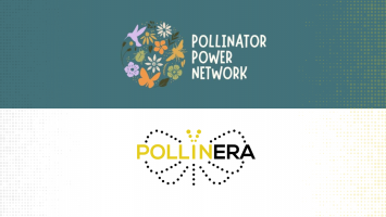 PollinERA featured in the Pollinator Power Network newsletter