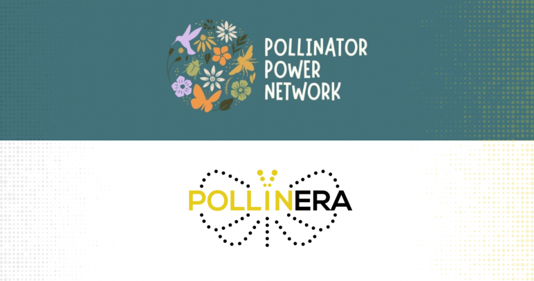 PollinERA featured in the Pollinator Power Network newsletter