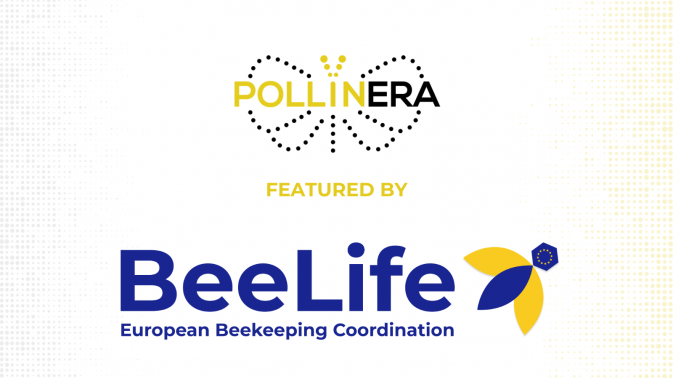 New feature: BeeLife sheds light on PollinERA’s mission