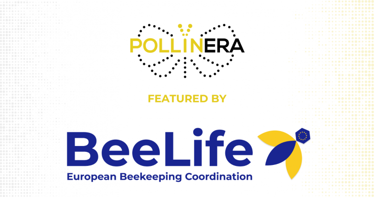 New feature: BeeLife sheds light on PollinERA’s mission
