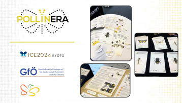 PollinERA beyond borders: Project materials showcased at multiple events this summer