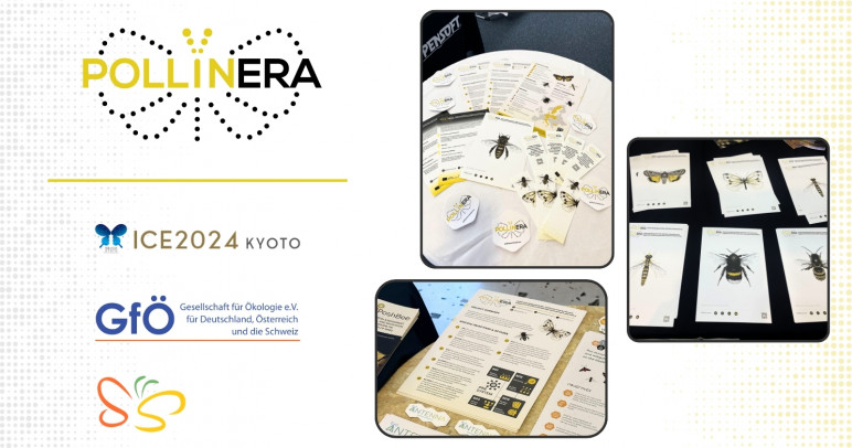 PollinERA beyond borders: Project materials showcased at multiple events this summer