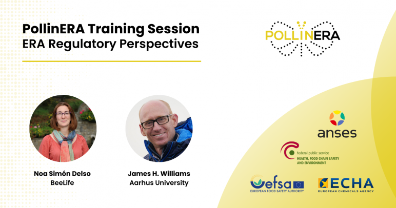 First PollinERA Training Session: ERA Regulatory Perspectives