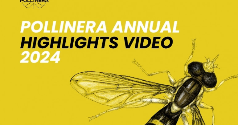 A look back at 2024: New PollinERA video