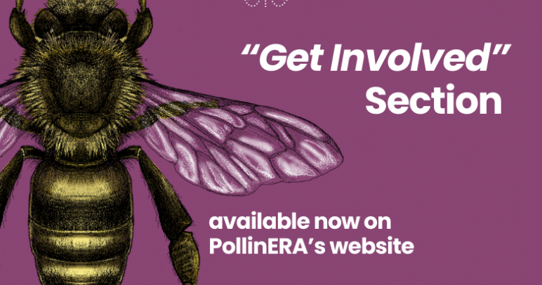 Get involved in PollinERA: New website section launched