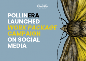 Exploring PollinERA’s Work Packages: New Social Media Campaign Launched