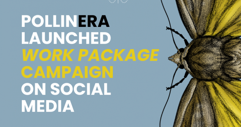 Exploring PollinERA’s Work Packages: New Social Media Campaign Launched