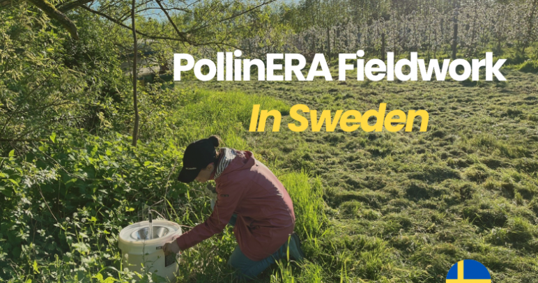 A look back at PollinERA’s fieldwork in 2024: Sweden