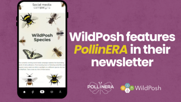 PollinERA Featured in WildPosh’s Newsletter