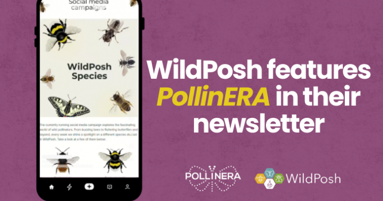 PollinERA Featured in WildPosh’s Newsletter