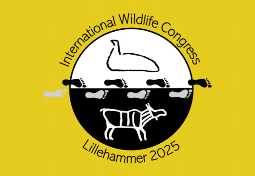 International Wildlife Congress 2025