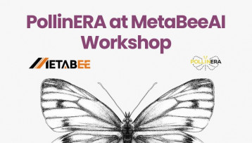 PollinERA presented at MetaBeeAI Workshop in Oxford to foster project synergies
