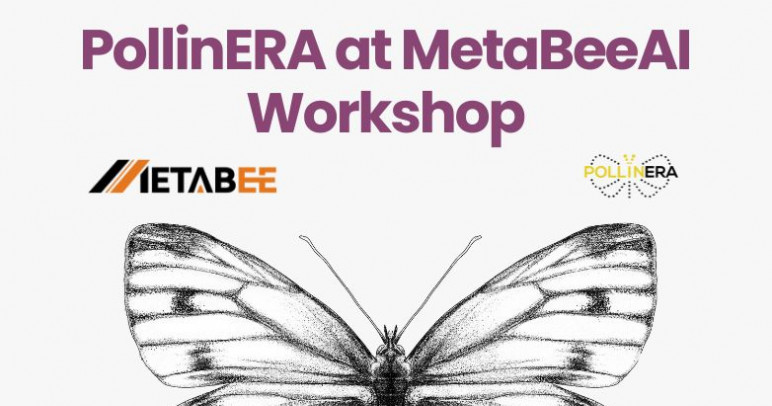 PollinERA presented at MetaBeeAI Workshop in Oxford to foster project synergies