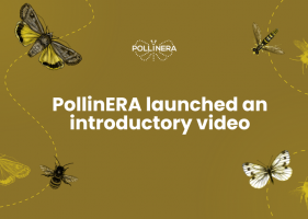 New approach to environmental risk assessment: The PollinERA project video