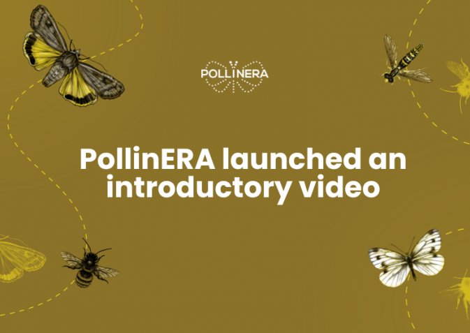 New approach to environmental risk assessment: The PollinERA project video