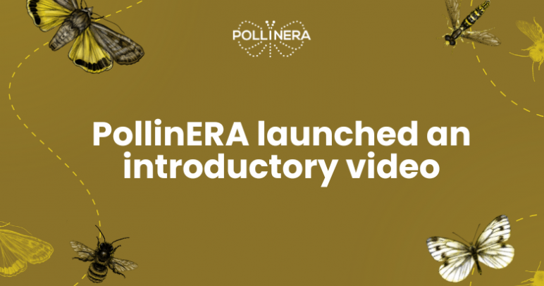 New approach to environmental risk assessment: The PollinERA project video