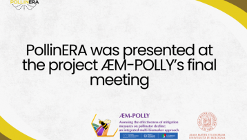PollinERA presented at the final event of the Italian national project ÆM-POLLY