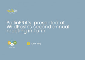 PollinERA presented at WildPosh’s second Annual Meeting in Turin