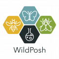 Logo for WildPosh project
