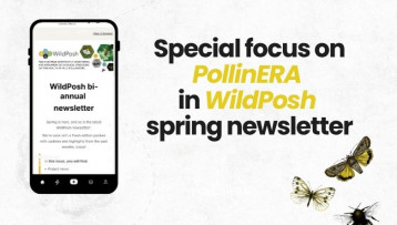 PollinERA in focus in WildPosh’s Newsletter
