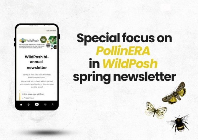 PollinERA in focus in WildPosh’s Newsletter