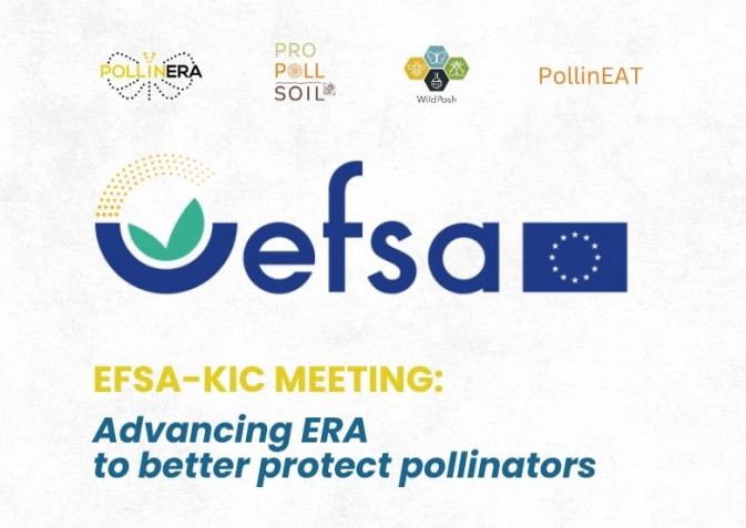 Four projects for pollinator protection presented at a thematic EFSA-KIC meeting