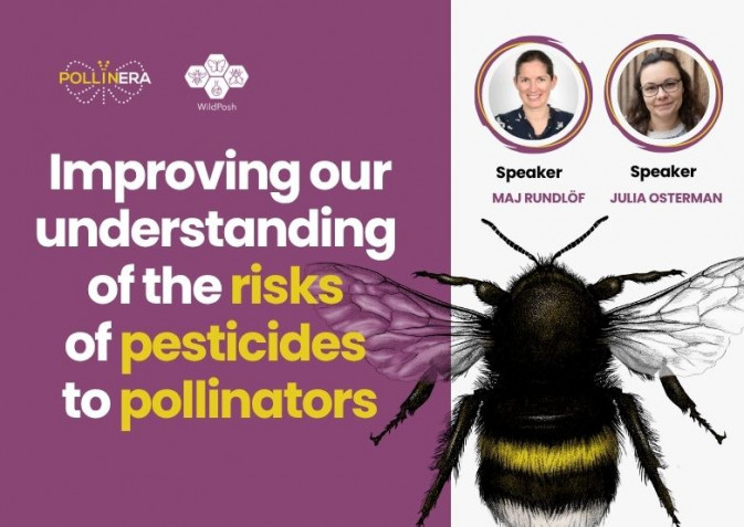 PollinERA and WildPosh joint presentation at ‘Pesticides and pollinators’ seminar