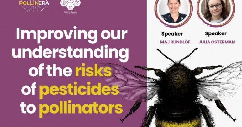 PollinERA and WildPosh joint presentation at ‘Pesticides and pollinators’ seminar