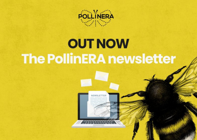 The latest PollinERA newsletter is here