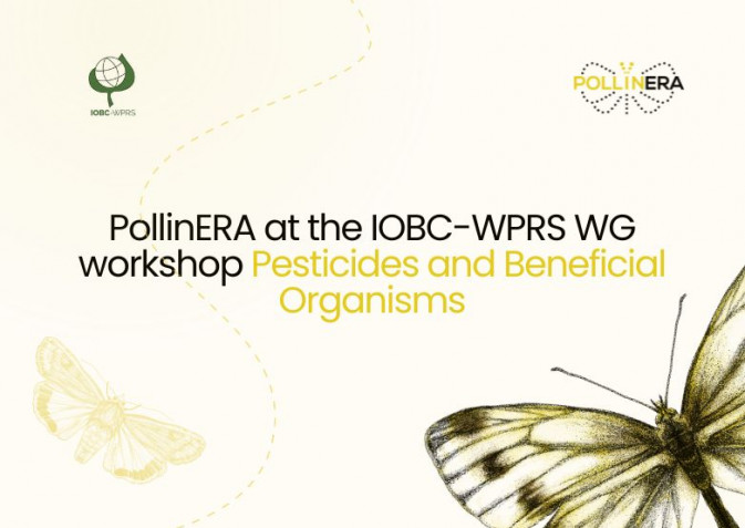 PollinERA at the IOBC-WPRS WG workshop “Pesticides and Beneficial Organisms”