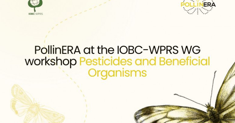 PollinERA at the IOBC-WPRS WG workshop “Pesticides and Beneficial Organisms”