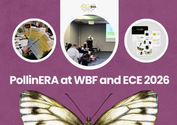 PollinERA project materials showcased at two key events this June