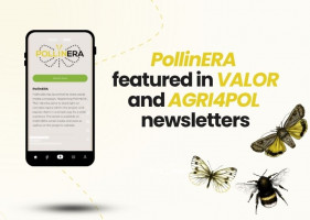 PollinERA featured in VALOR and AGRI4POL Newsletters