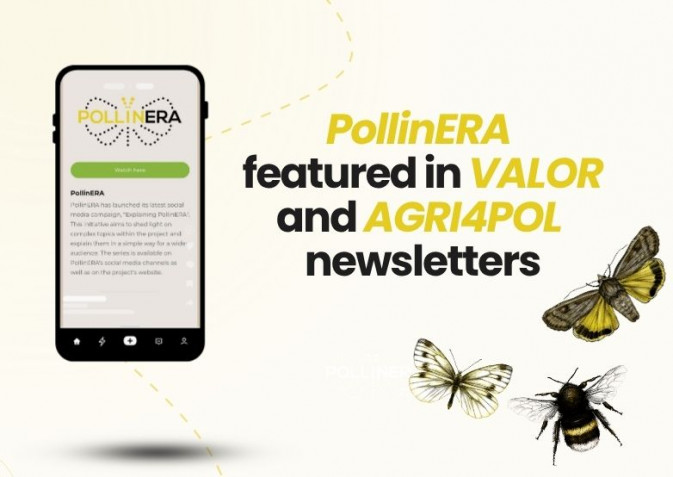 PollinERA featured in VALOR and AGRI4POL Newsletters