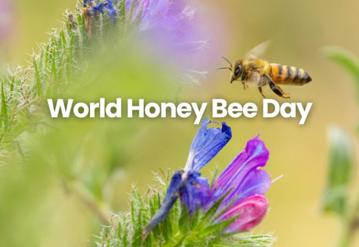 World Honey Bee Day 2026