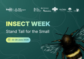Find the mystery species: PollinERA celebrated Insect Week with a special social media campaign