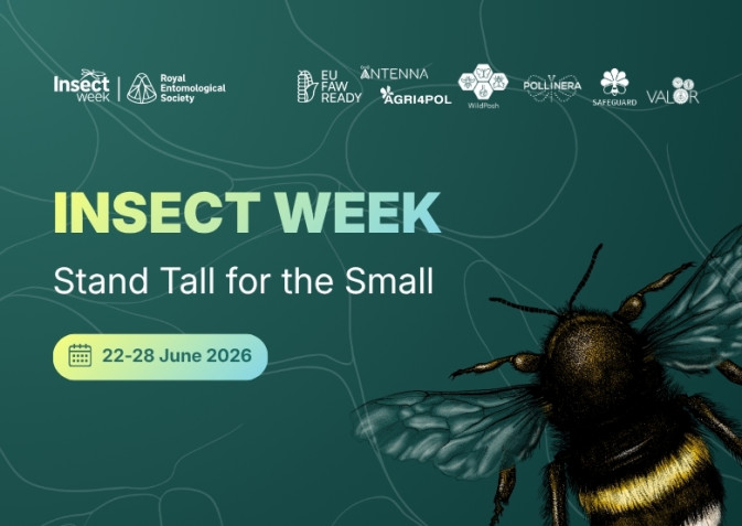 Find the mystery species: PollinERA celebrated Insect Week with a special social media campaign