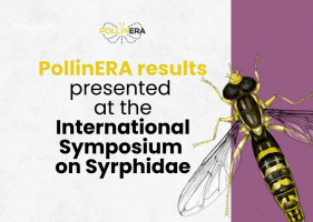 PollinERA results showcased at the 13th International Symposium on Syrphidae