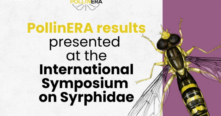 PollinERA results showcased at the 13th International Symposium on Syrphidae