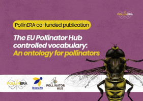 The Pollinator Ontology: Building a shared language for pollinators