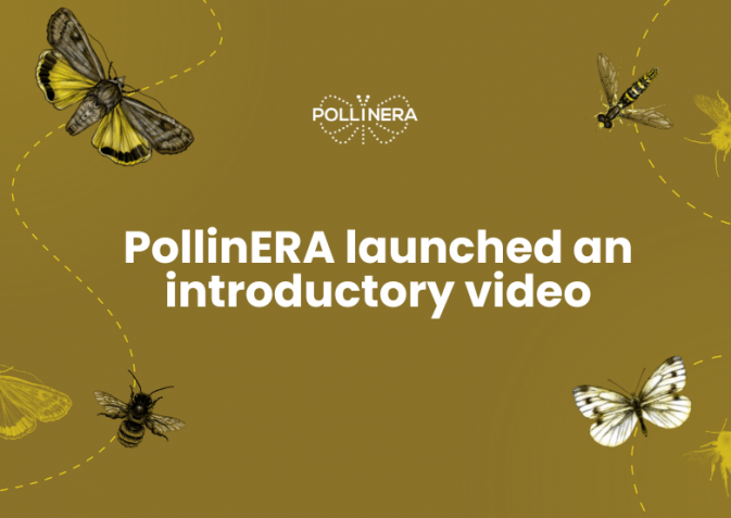 New approach to environmental risk assessment: The PollinERA project video